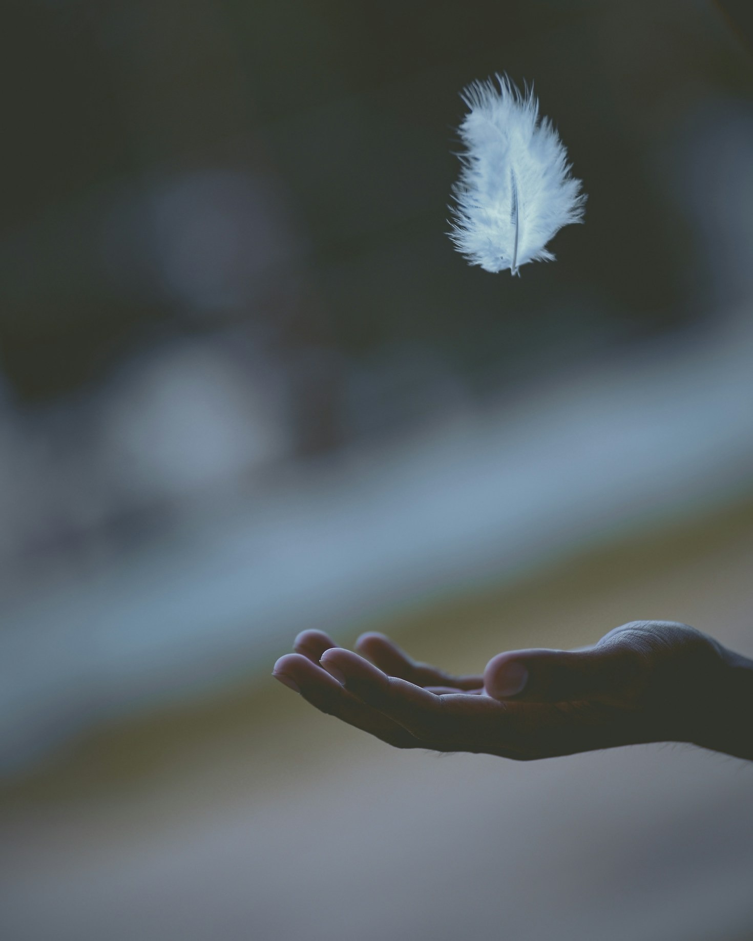 10 Mindfulness Habits That Transform Your Day