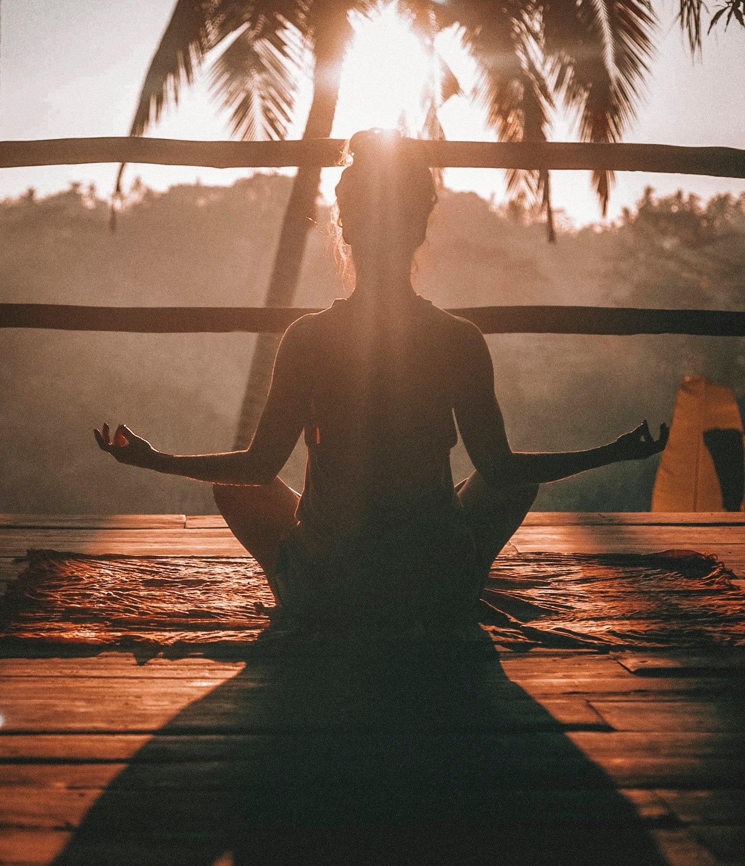 Steps to Cultivating a Harmonious Lifestyle