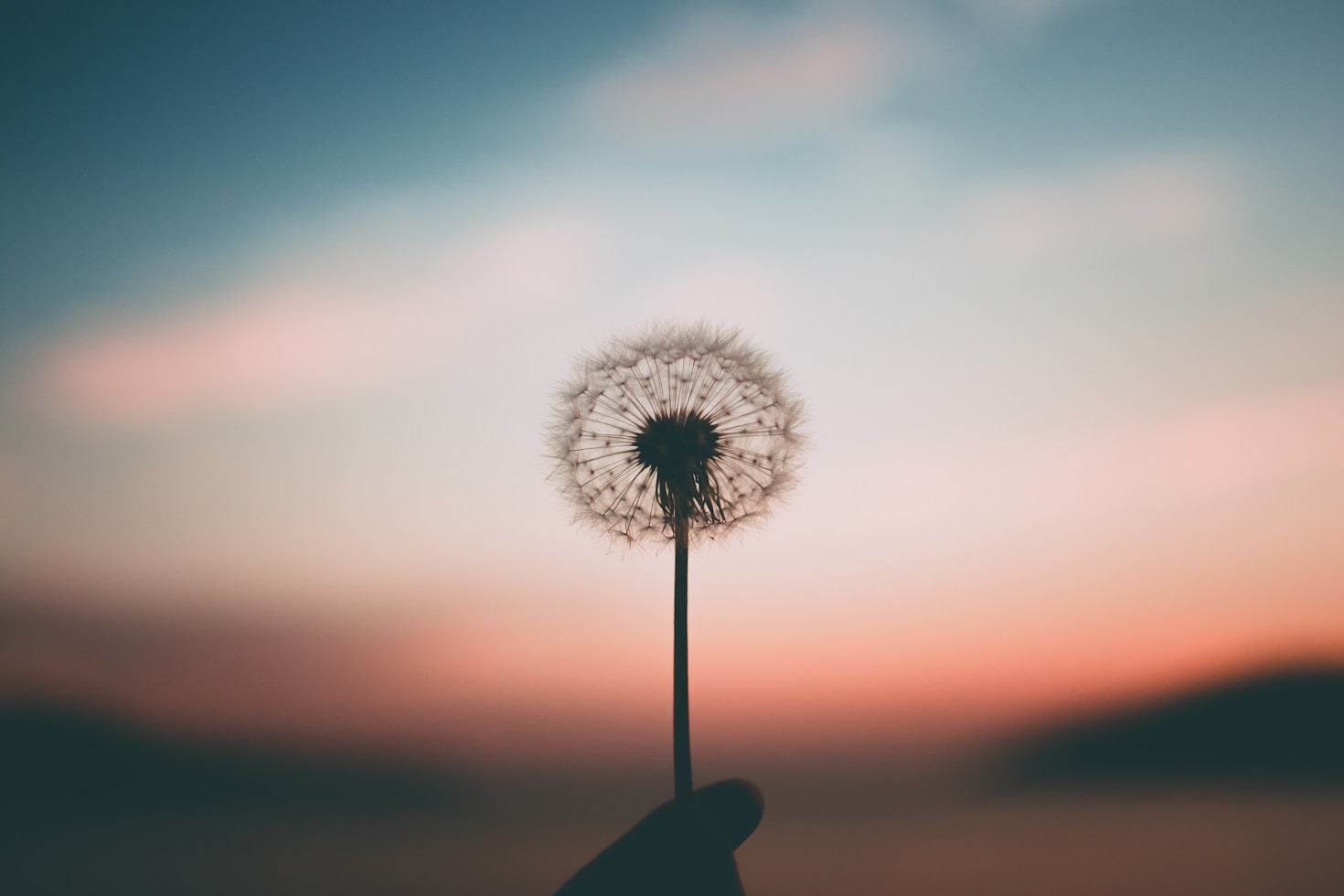 Transformative Practices for Everyday Balance
